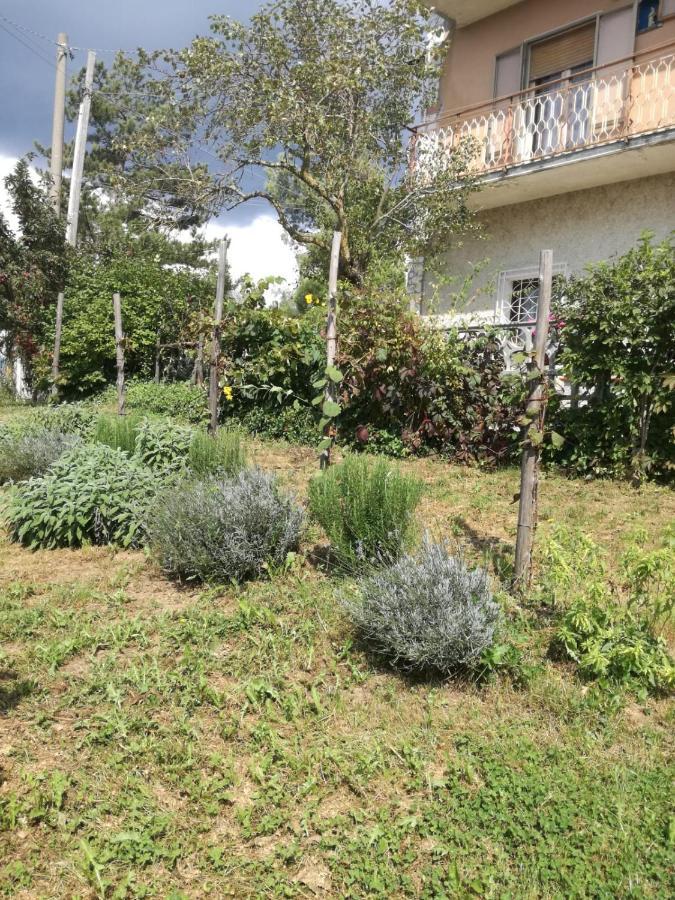 B&B Nel Verde Montesano sulla Marcellana Kültér fotó