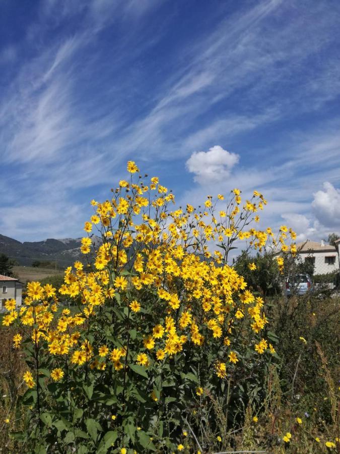 B&B Nel Verde Montesano sulla Marcellana Kültér fotó