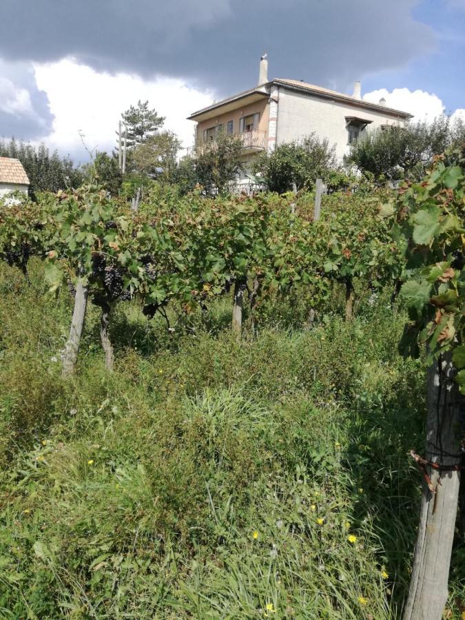 B&B Nel Verde Montesano sulla Marcellana Kültér fotó