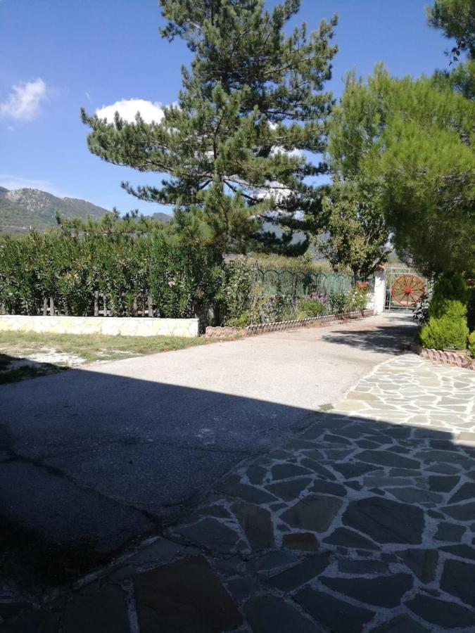 B&B Nel Verde Montesano sulla Marcellana Kültér fotó